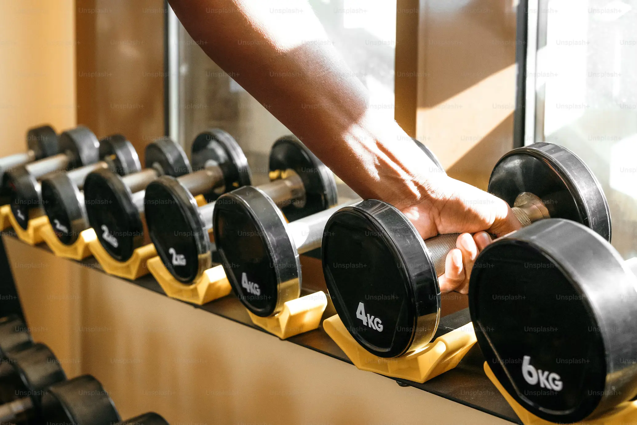 Entrenamiento de fuerza